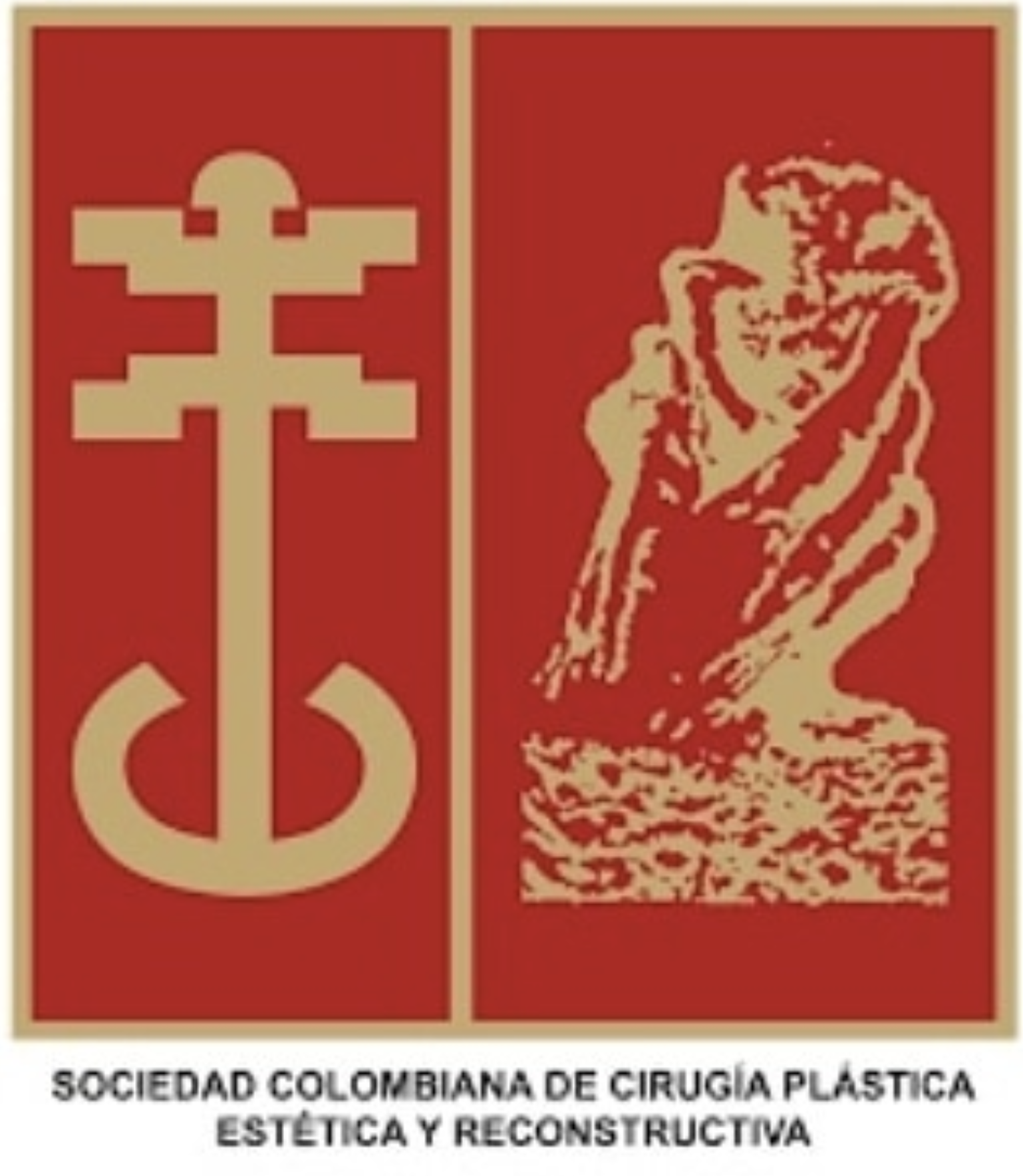 Inicio - Sociedad Colombiana de Cirugía Plástica Estética y Reconstructiva